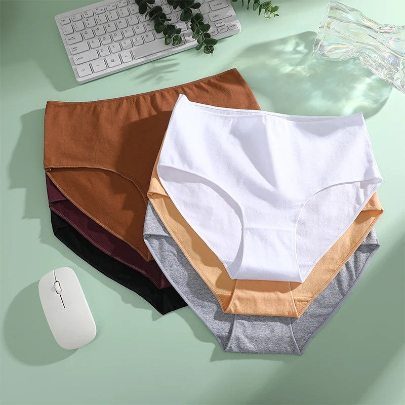 Lot de 4 culottes confort en coton stretch ELYZOR